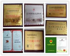 健康為本，科技引領 盛研科技王世盛打造負離子環保新格局